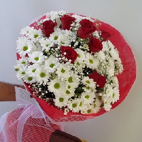 7 Gül ve Papatyalar