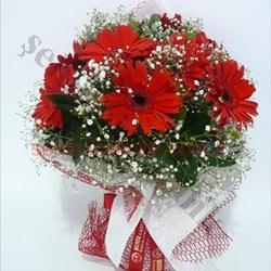 KIRMIZI CELBERA BUKETİ